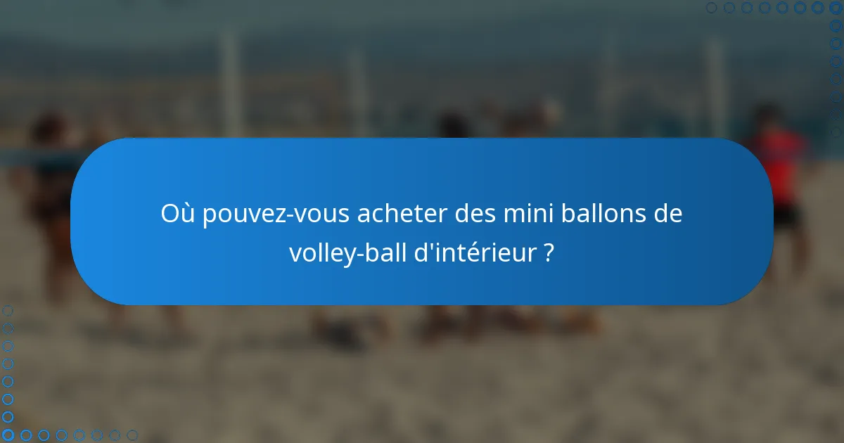 Où pouvez-vous acheter des mini ballons de volley-ball d'intérieur ?