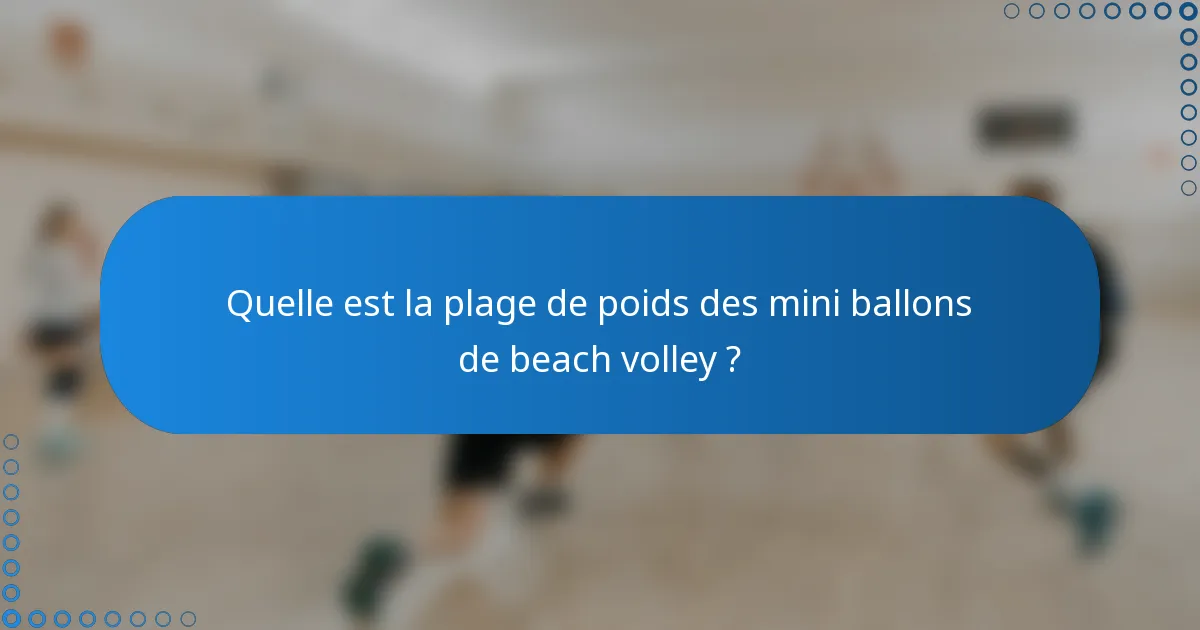 Quelle est la plage de poids des mini ballons de beach volley ?