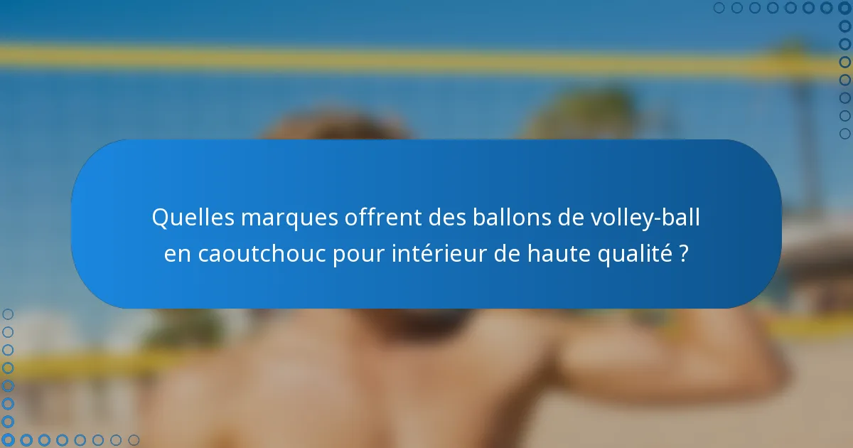 Quelles marques offrent des ballons de volley-ball en caoutchouc pour intérieur de haute qualité ?
