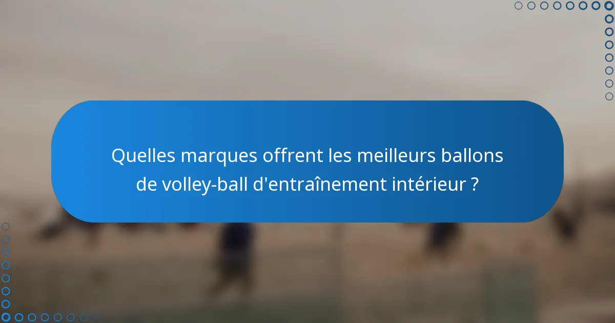 Quelles marques offrent les meilleurs ballons de volley-ball d'entraînement intérieur ?