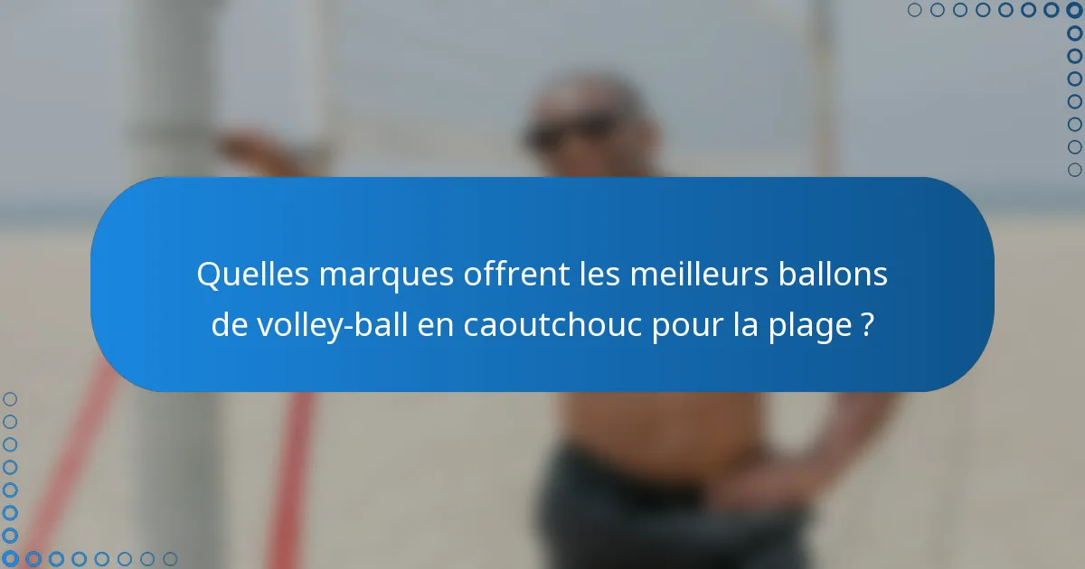 Quelles marques offrent les meilleurs ballons de volley-ball en caoutchouc pour la plage ?
