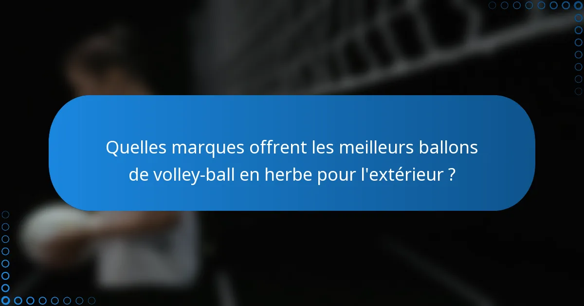 Quelles marques offrent les meilleurs ballons de volley-ball en herbe pour l'extérieur ?