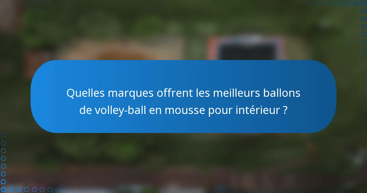 Quelles marques offrent les meilleurs ballons de volley-ball en mousse pour intérieur ?