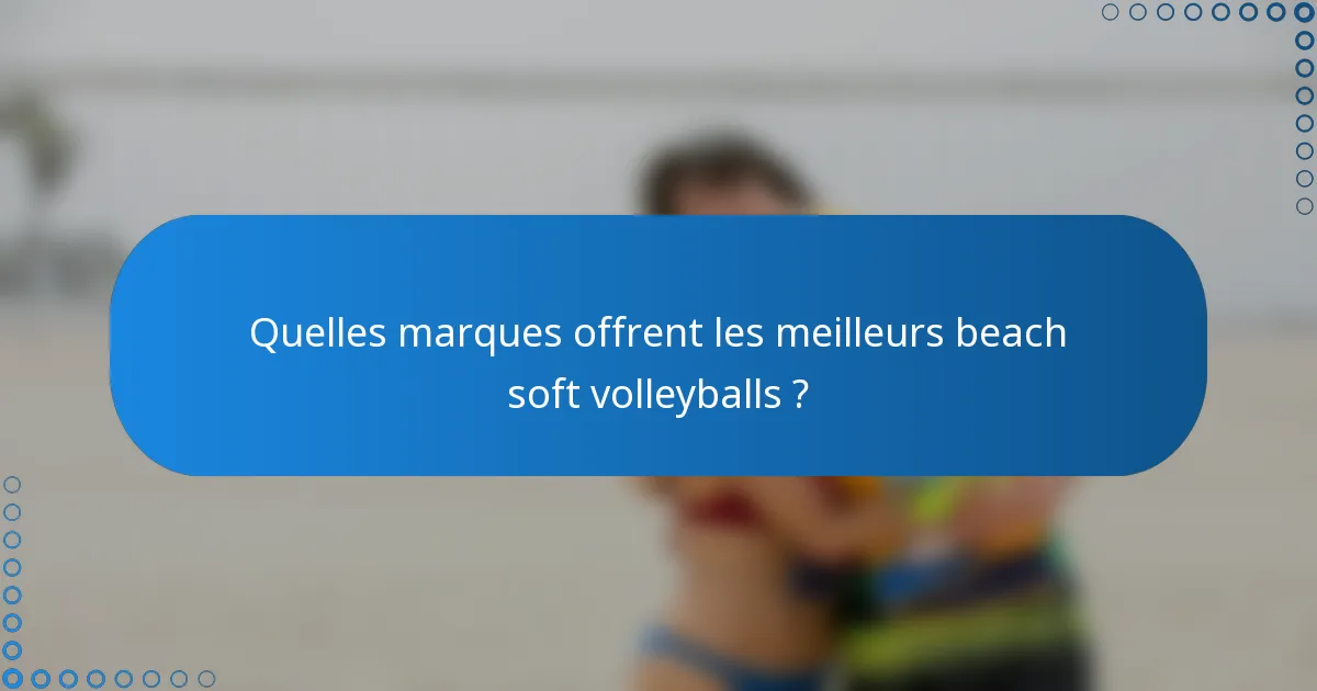 Quelles marques offrent les meilleurs beach soft volleyballs ?