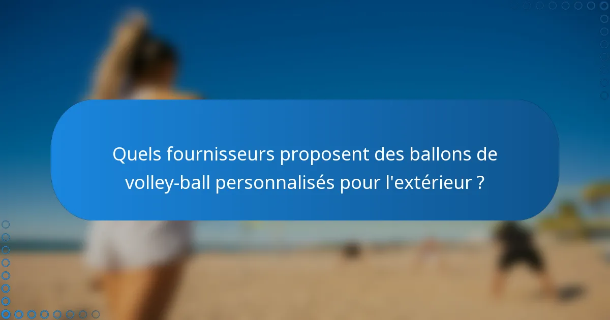 Quels fournisseurs proposent des ballons de volley-ball personnalisés pour l'extérieur ?